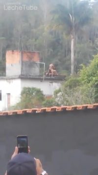 Grabando pareja mientras follan en la azotea