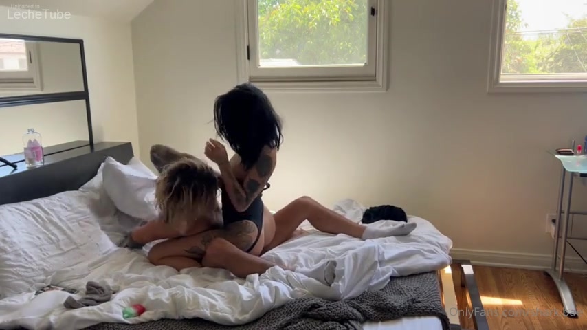 Shark baee montando la polla de su novio