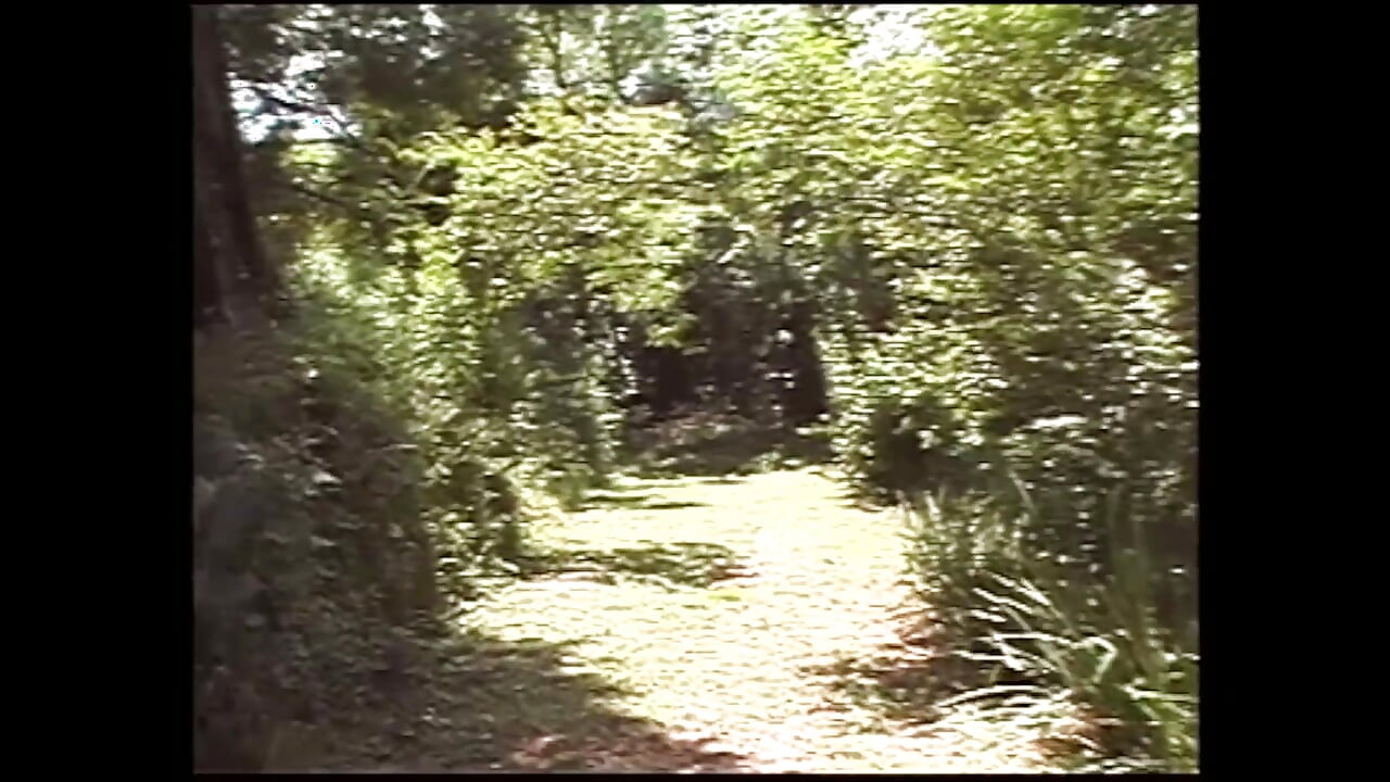 SECRETS OF SAO PAULO