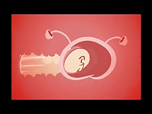 Bounce on the cartoons CMV (Minus8 & Others) Hentai hmv pmv sfm music