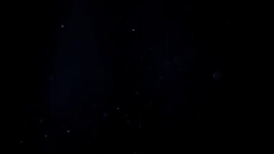 Essa MILF gostosa liberou a buceta rosa pra todo mundo na suruba