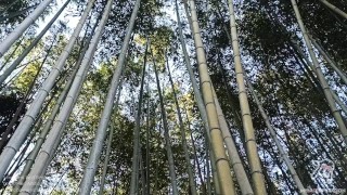 Exploring Tokyo’s Giant Sex Shops. 2nd Part!!