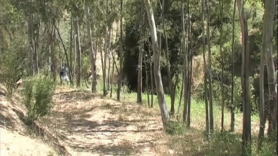 Hailey Gets Her Pussy And Ass Banged